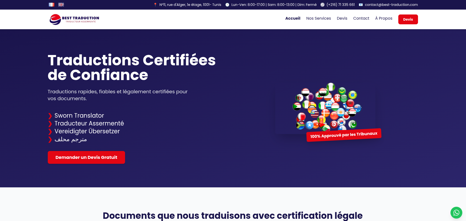 Portfolio project preview